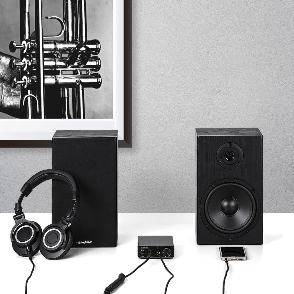 PrimeCables-Cab-AMP30-Speakers-Subwoofer