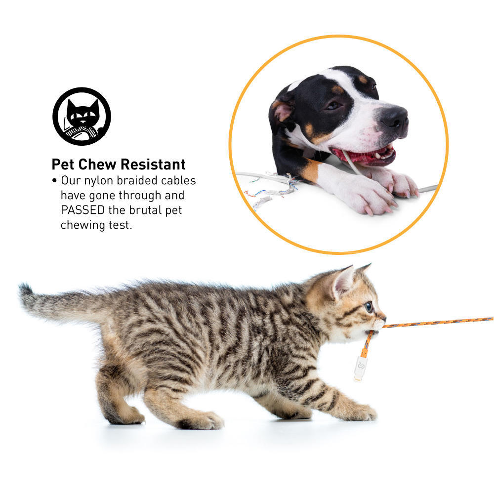 The no.1 pet chew resistant mobile cable at PrimeCables.ca